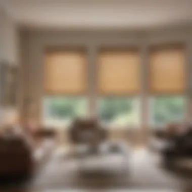 Stylish Blinds Enhancing Interior Design Elegant living room with natural light filtered by stylish blinds