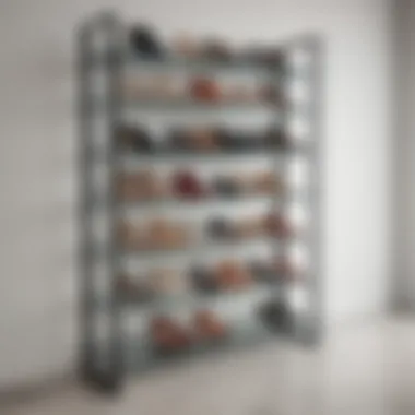 Contemporary shoe rack made of metal and glass