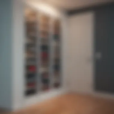 Maximizing Vertical Space for Shoe Storage Vertical shoe storage solution utilizing wall space