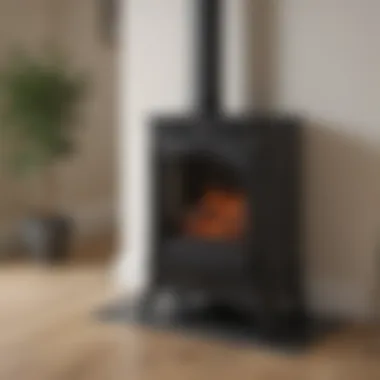 Stylish Design Options for Narrow Electric Stoves Stylish narrow electric stove showcasing various design options
