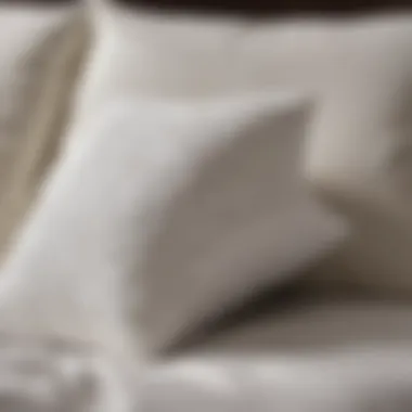 Close-up of Soft Tex pillow materials indicating quality and craftsmanship.