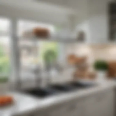 Adjustable Features for Kitchen Versatility Versatile over-the-sink drying rack with adjustable features
