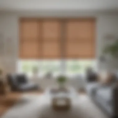 Elegant living room featuring corded 36-inch blinds